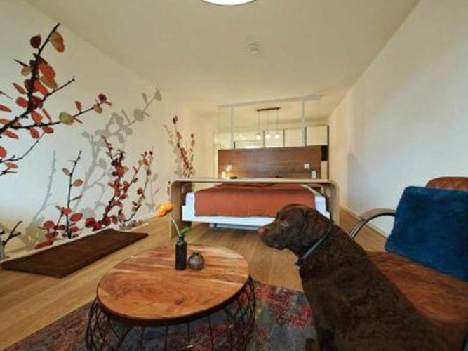 Artroom Boarding Apartment Bissendorf Kültér fotó